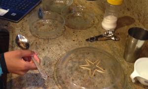 Day 1 Toothpick Experiment (3)