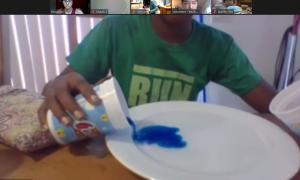 Day 1 Experiment (5)